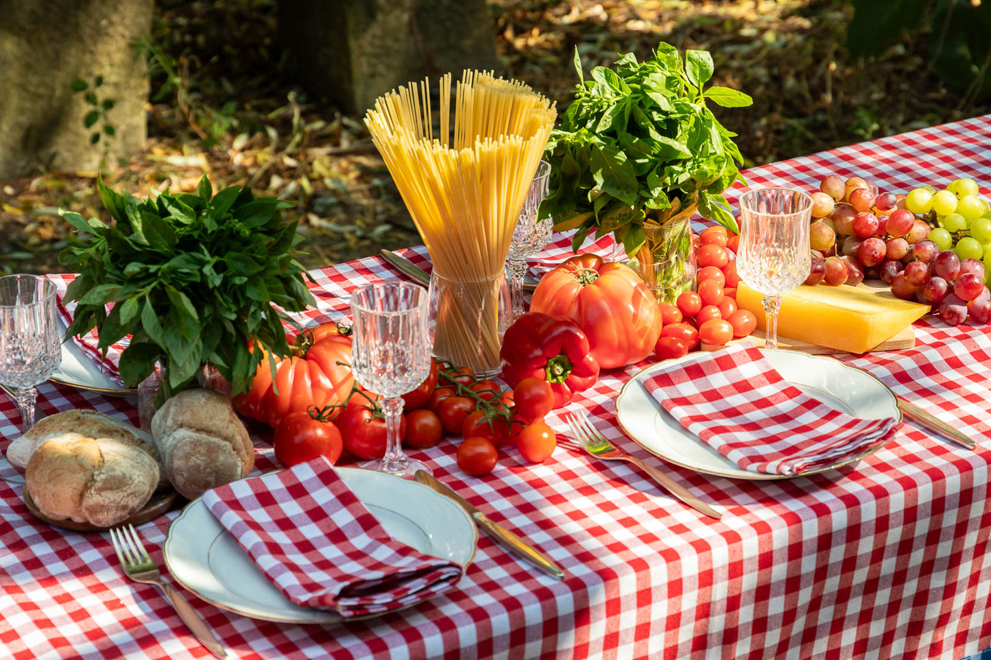 Picnic Tablecloth Red