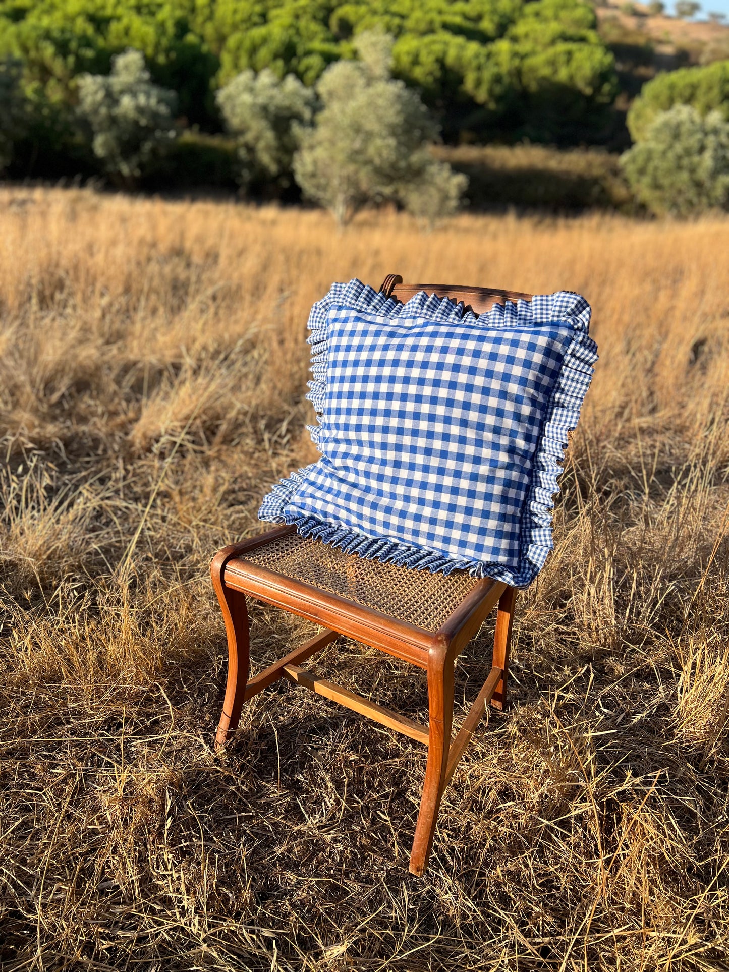 Blue Vichy Pillowcase