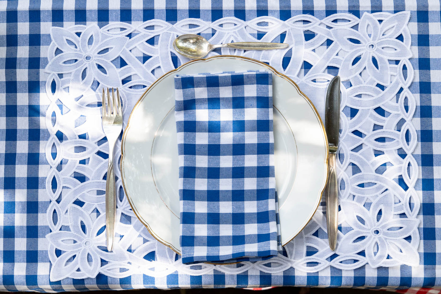 Blue Picnic Napkins - Set of 4