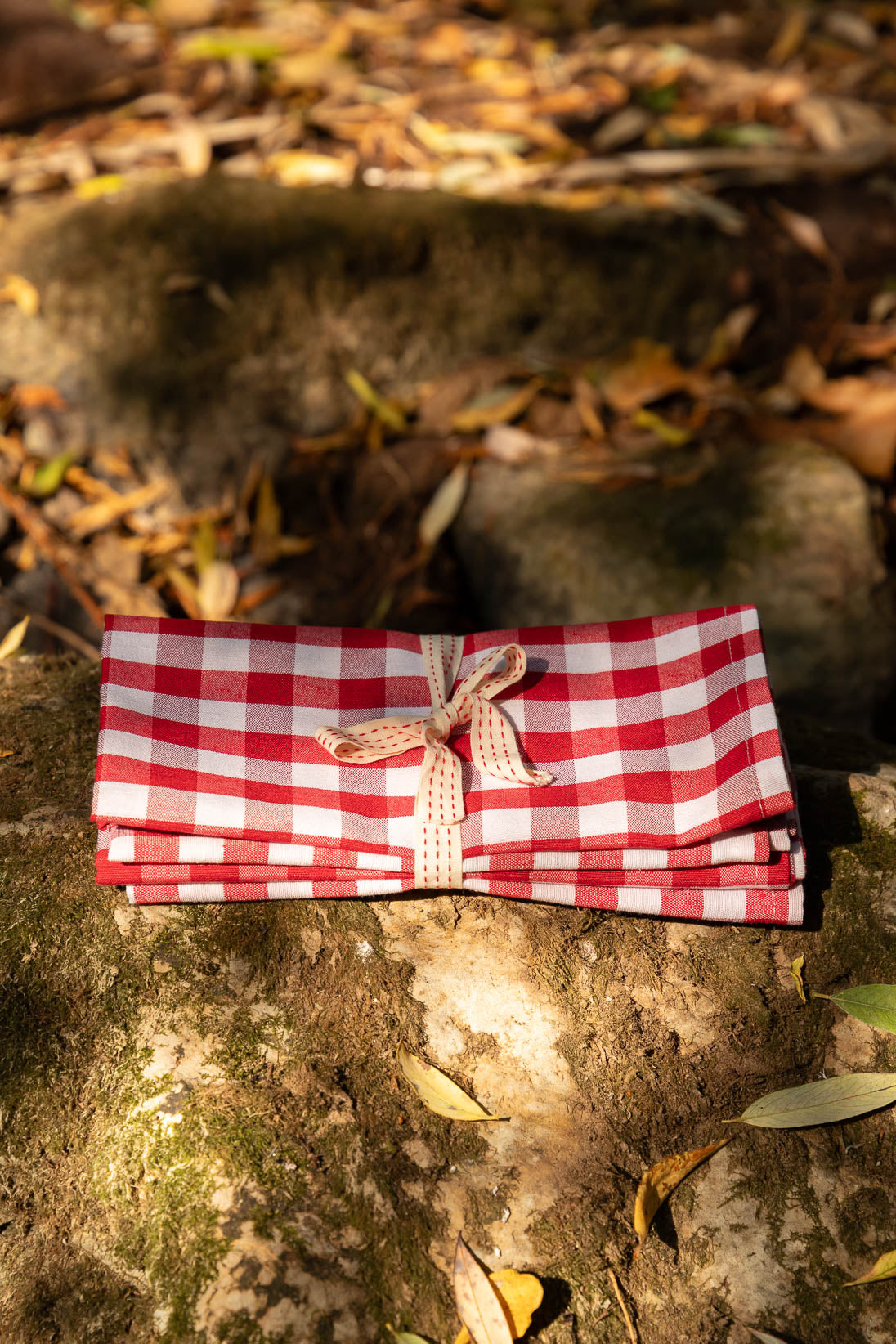 Red Picnic Napkin - Set of 4