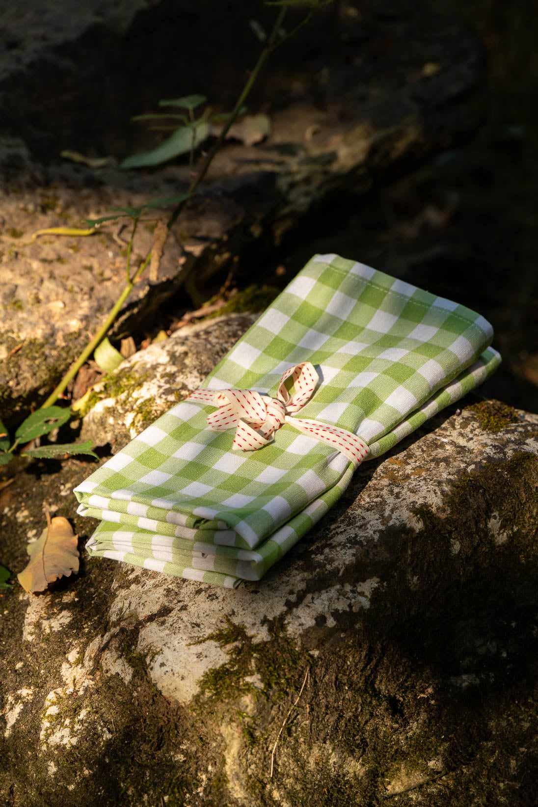 Green Picnic Napkin - Set of 4