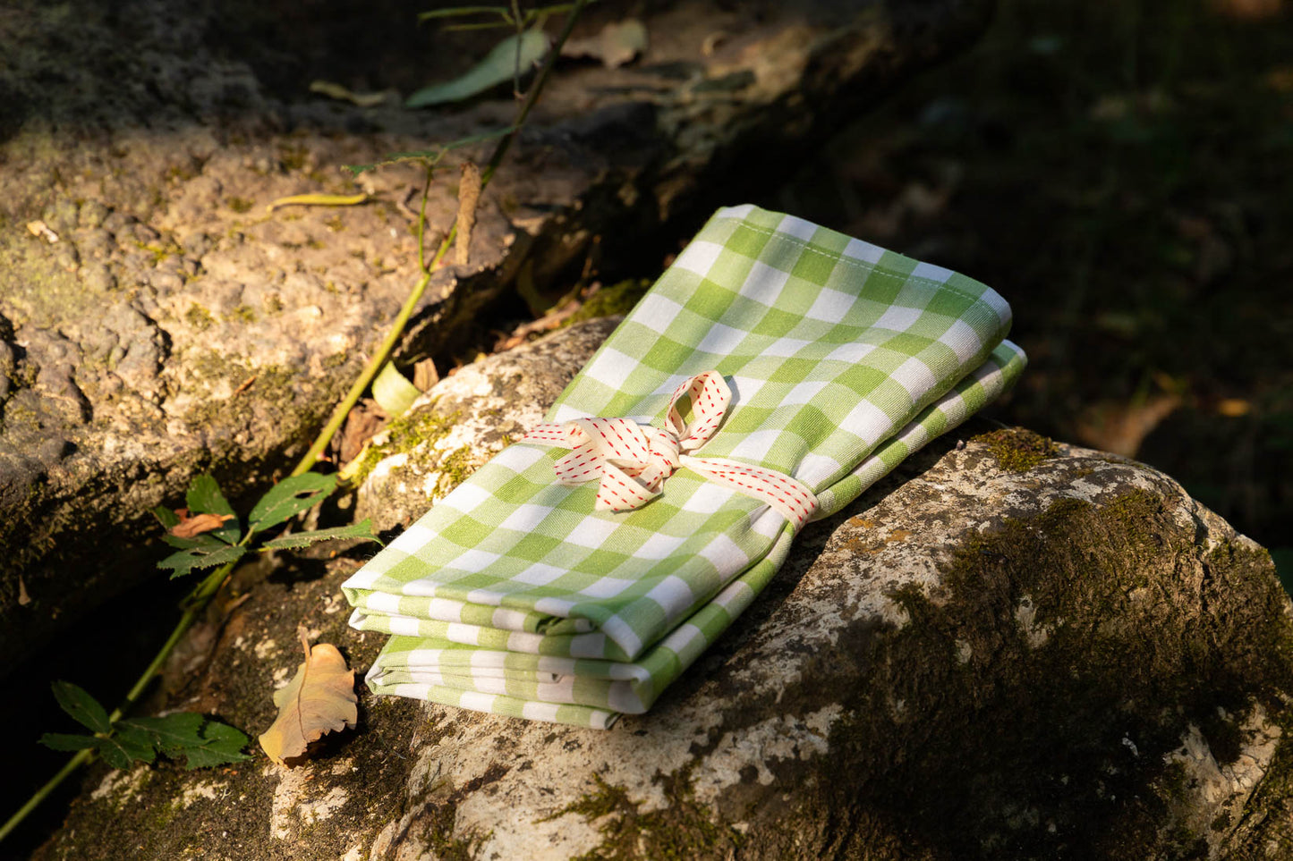 Green Picnic Napkin - Set of 4