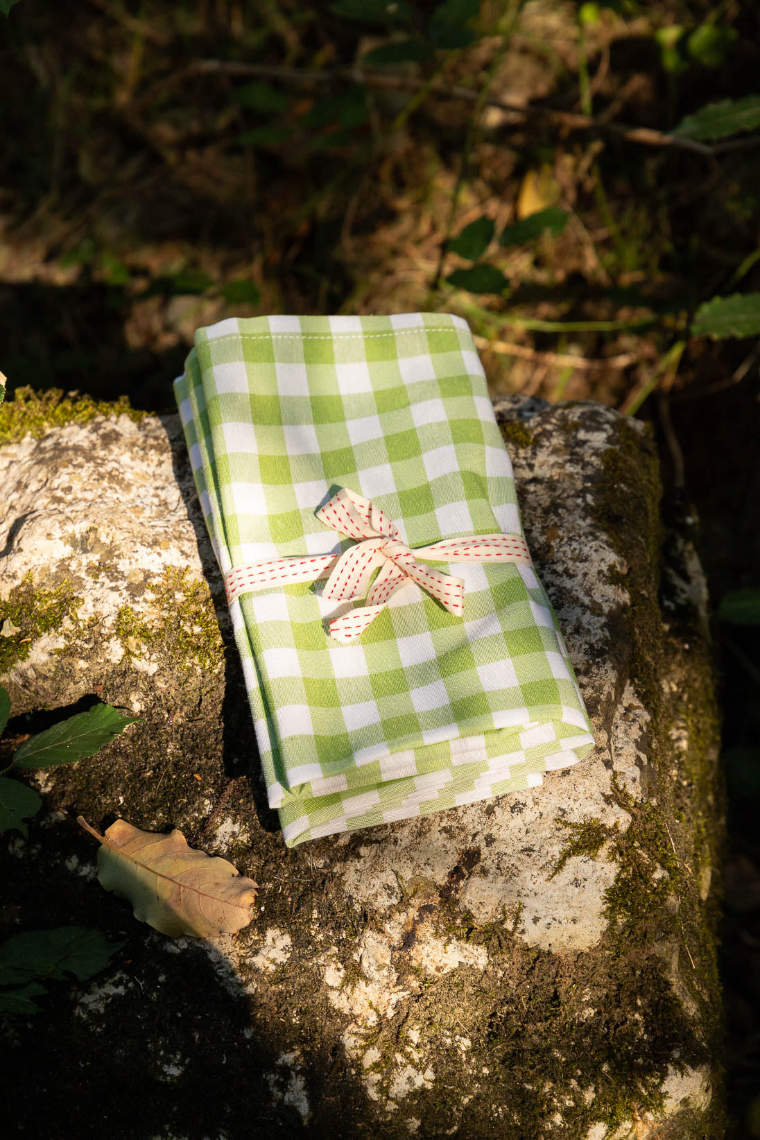 Green Picnic Napkin - Set of 4