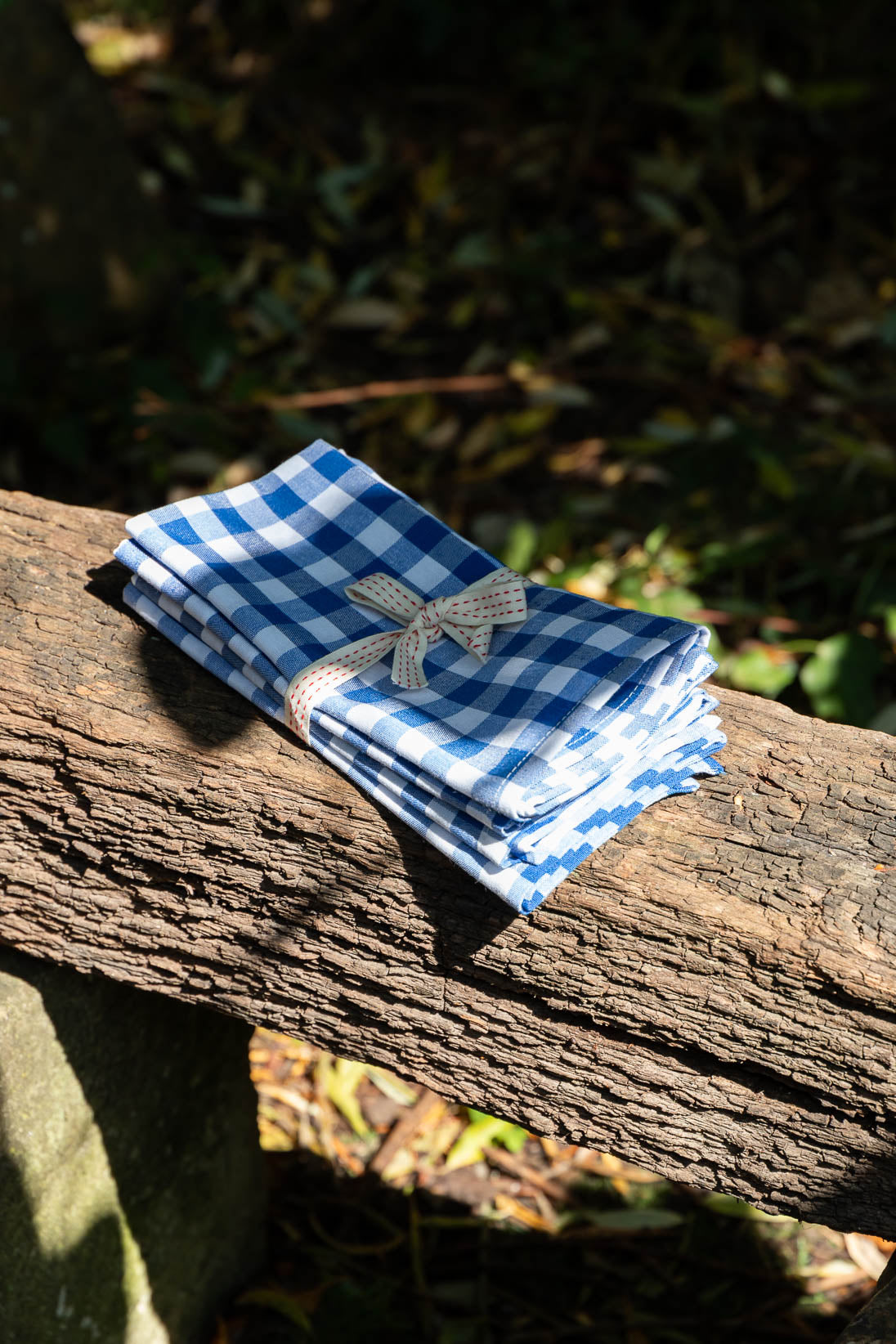 Blue Picnic Napkins - Set of 4