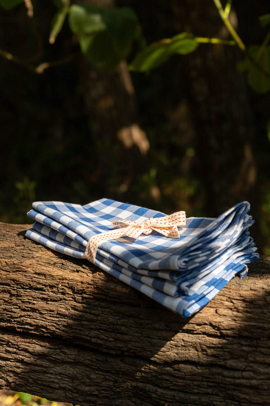 Blue Picnic Napkins - Set of 4