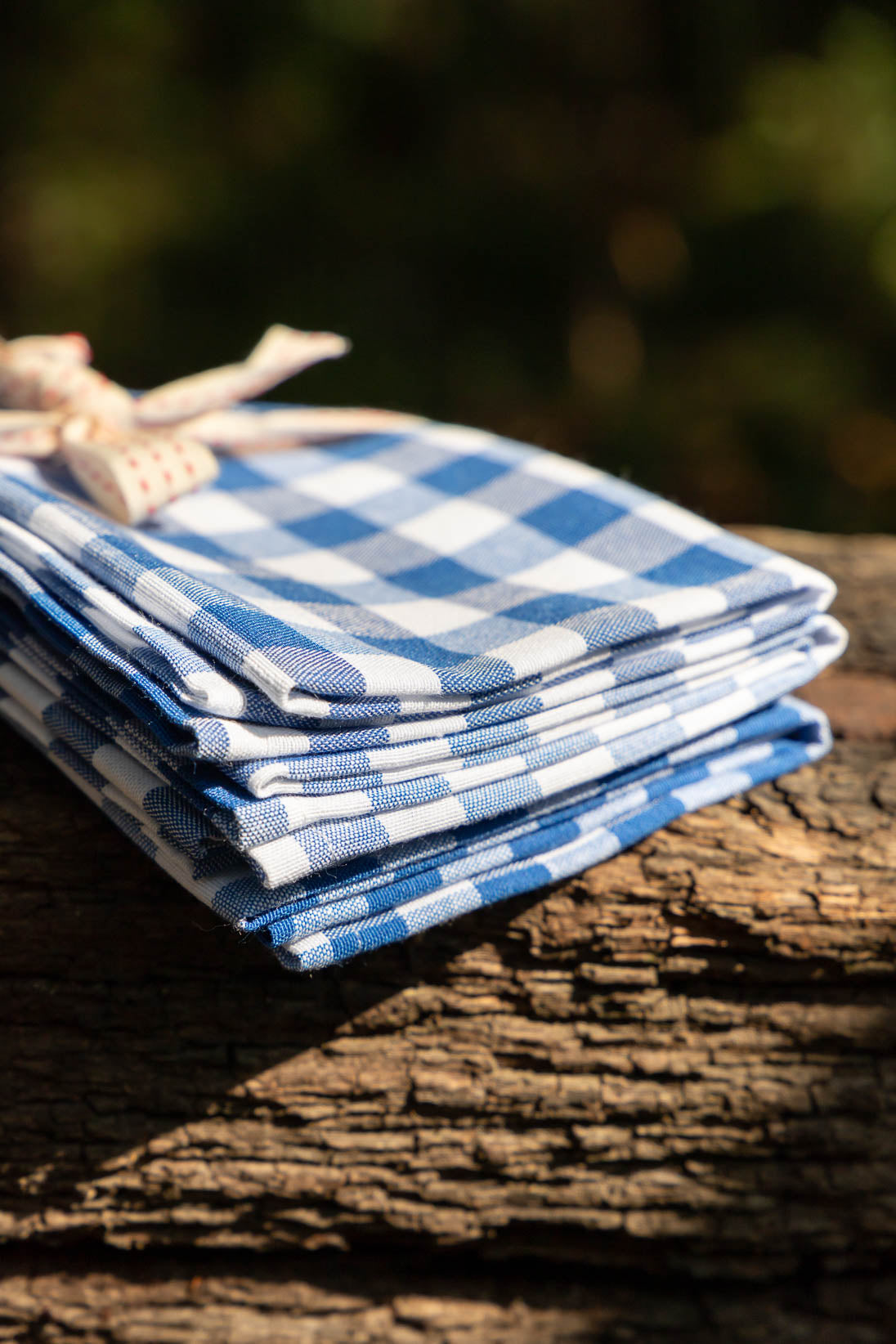 Blue Picnic Napkins - Set of 4