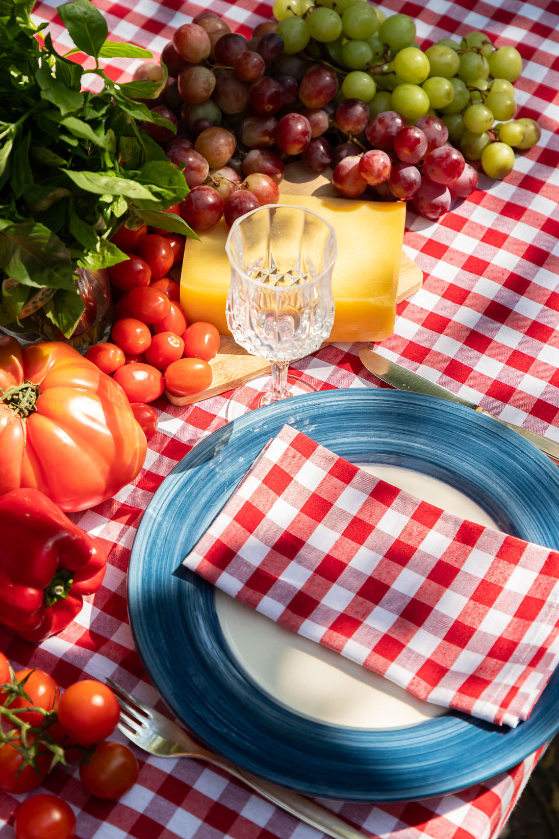 Red Picnic Napkin - Set of 4